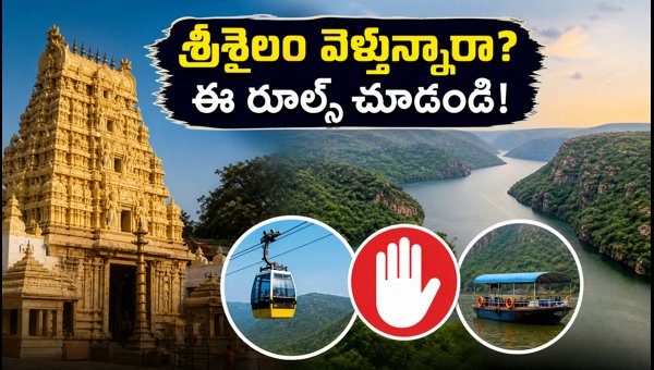 Srisailam Temple Weekend Darshan Guide: September 2026 Timings, Safari Alerts & Travel Rules Srisailam Temple Weekend Darshan Guide: September 2026 Timings, Safari Alerts & Travel Rules