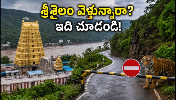 Srisailam Travel Guide 2026: Check Post Timings, Darshan Tips, and Route Map for Safe Trip