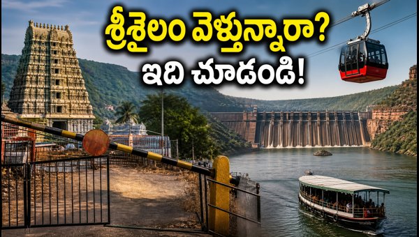 Srisailam Travel Update September 2026: Darshan Timings, Ropeway, and Vinayaka Chavithi Rush Srisailam Travel Update September 2026: Darshan Timings, Ropeway, and Vinayaka Chavithi Rush