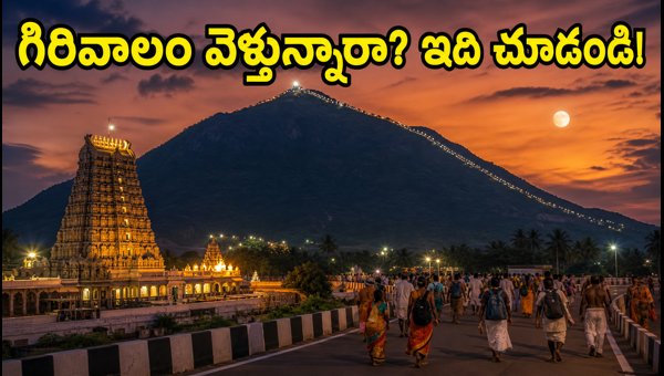 Thiruvannamalai Pournami Girivalam 2026: Darshan Timings, Travel Guide & Traffic Updates Thiruvannamalai Pournami Girivalam 2026: Darshan Timings, Travel Guide & Traffic Updates