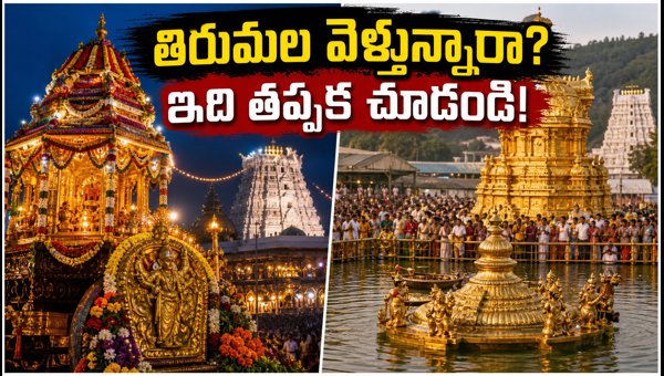 Tirumala Brahmotsavam 2026: Darshan Timings, Rathotsavam, and Crowd Updates for Pilgrims Tirumala Brahmotsavam 2026: Darshan Timings, Rathotsavam, and Crowd Updates for Pilgrims