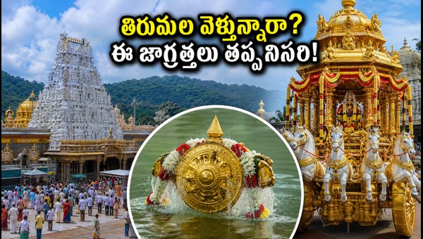 Tirumala Brahmotsavam 2026: Essential Travel Tips, Traffic Rules, and Crowd Management for Sept 22-23 Tirumala Brahmotsavam 2026: Essential Travel Tips, Traffic Rules, and Crowd Management for Sept 22-23