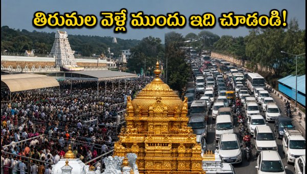 Tirumala Brahmotsavams 2026: Darshan Updates, Traffic Restrictions, and Travel Guide Tirumala Brahmotsavams 2026: Darshan Updates, Traffic Restrictions, and Travel Guide