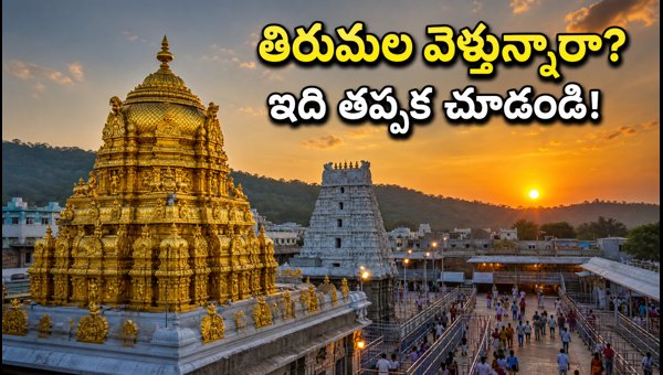Tirumala Brahmotsavams 2026: TTD Darshan Guidelines, Traffic Restrictions & Garuda Seva Updates Tirumala Brahmotsavams 2026: TTD Darshan Guidelines, Traffic Restrictions & Garuda Seva Updates
