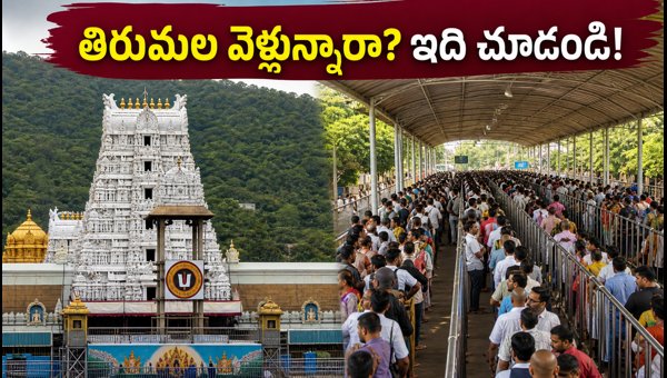 Tirumala Darshan Update: VIP Break Darshan Cancelled on Sept 13, 2026 - Travel Tips for Pilgrims Tirumala Darshan Update: VIP Break Darshan Cancelled on Sept 13, 2026 - Travel Tips for Pilgrims
