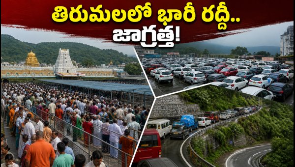 Tirumala TTD Update: Gokulashtami Crowds, SSD Token Availability, and Travel Guidelines for Sept 2026 Tirumala TTD Update: Gokulashtami Crowds, SSD Token Availability, and Travel Guidelines for Sept 2026