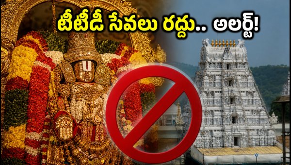 TTD Cancels Arjita Sevas Today: Tirumala Utlotsavam Updates and Pilgrim Guidelines 2026 TTD Cancels Arjita Sevas Today: Tirumala Utlotsavam Updates and Pilgrim Guidelines 2026