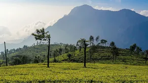 Heatwave Hits Hill Station Ooty Sizzles With Record Temperature Highest Ever