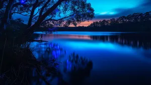 Cool Places In India For Summer Pleasant Hill Stations Destinations